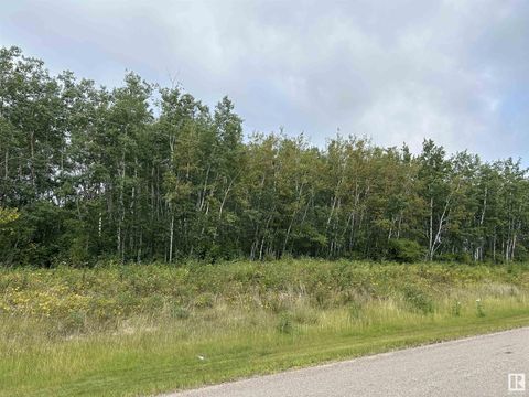 NE 23 62 1 W4 411A RD Rural Bonnyville M.D. AB T0A0T0