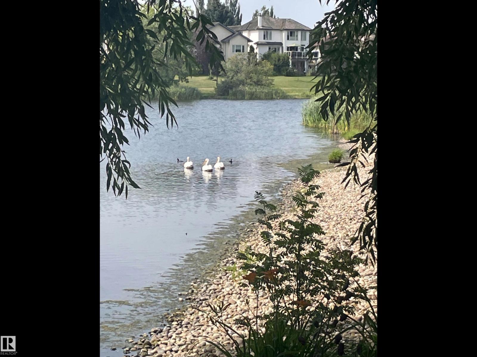 116 TWIN BROOKS COVE NW