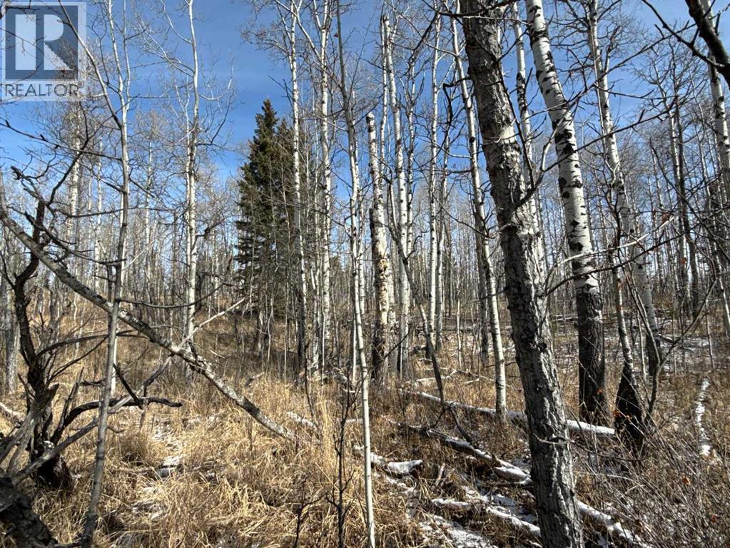 40, 29066 Range Road 52