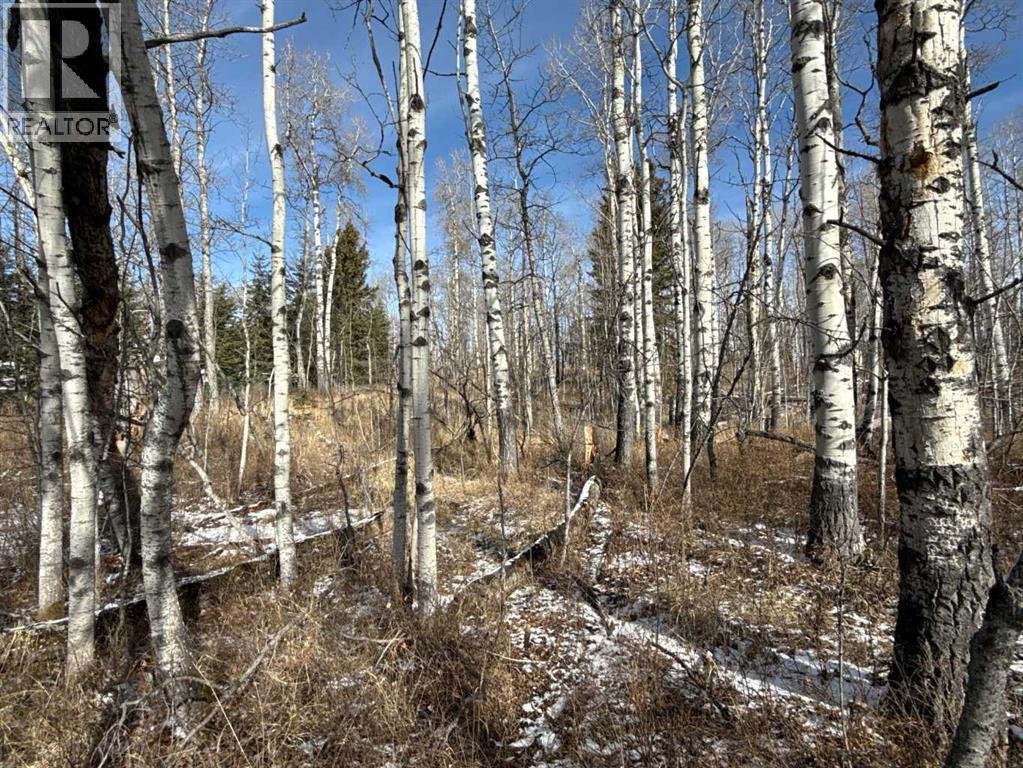 40, 29066 Range Road 52