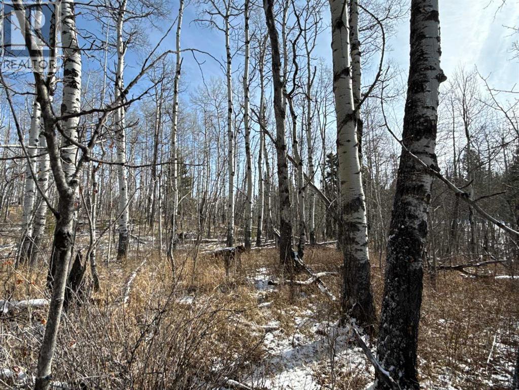 40, 29066 Range Road 52