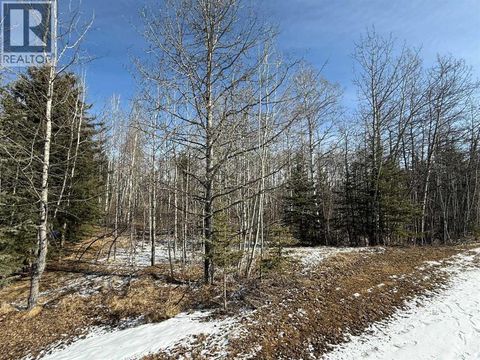 40, 29066 Range Road 52 Rural Mountain View County AB T0M2E0