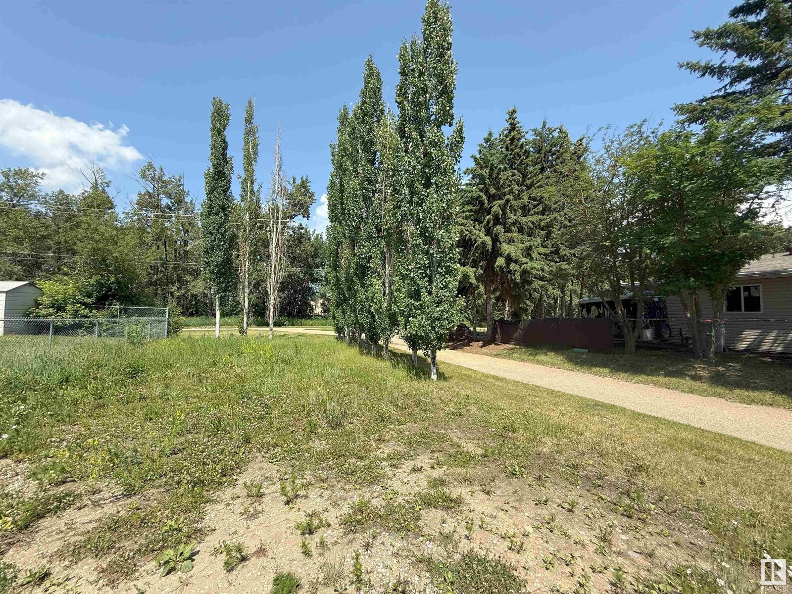45B MCNABB CR