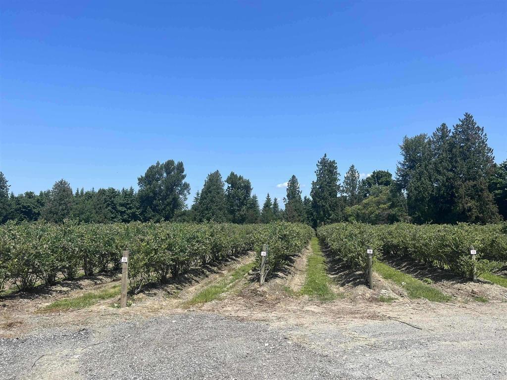 4281 BRADNER ROAD