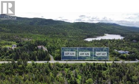 121 Salmonier Line Holyrood NF A0A2K0