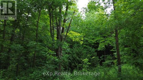 720227 SIDEROAD 20 SIDE ROAD Chatsworth ON N0H1R0