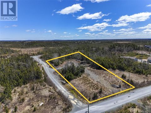 100 Amber Drive Whitbourne NF A0B3K0