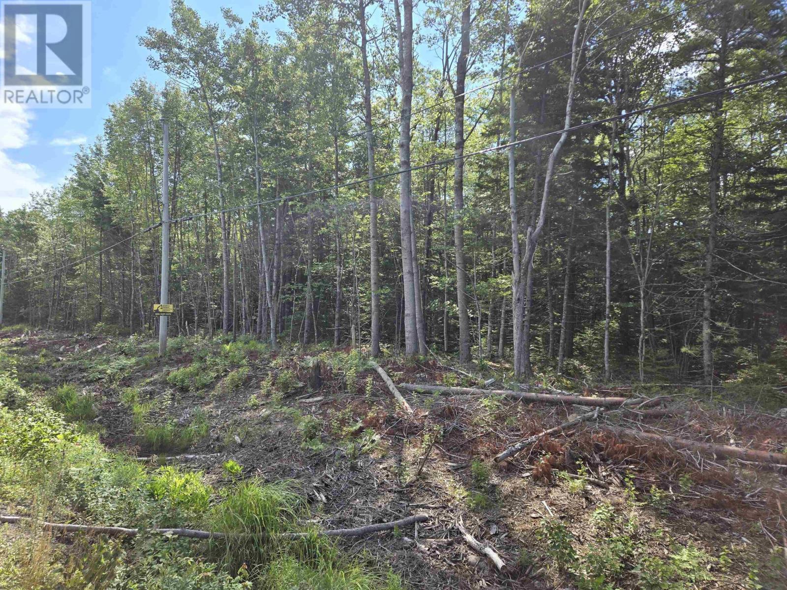 Lot 1 Conquerall Road - Photo 2
