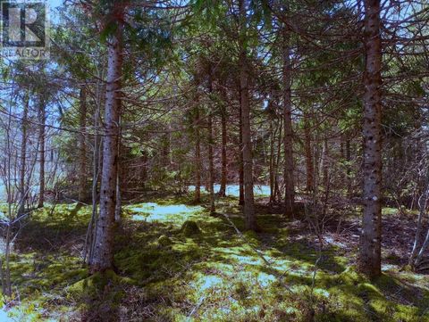 14 Jonny Cash Lane Juniper Mountain NS B1K0C2