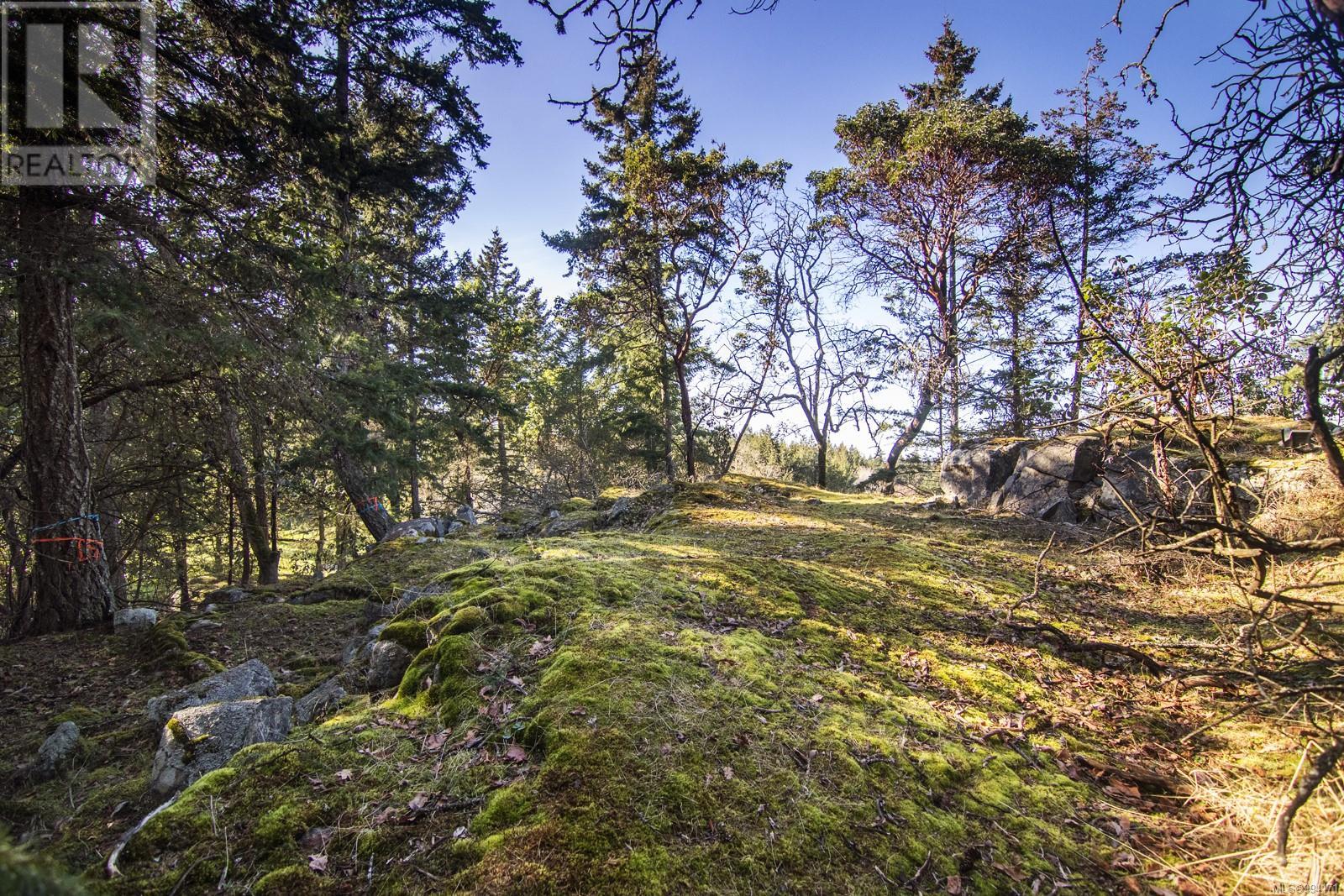 Lot 37 Chelsea Pl