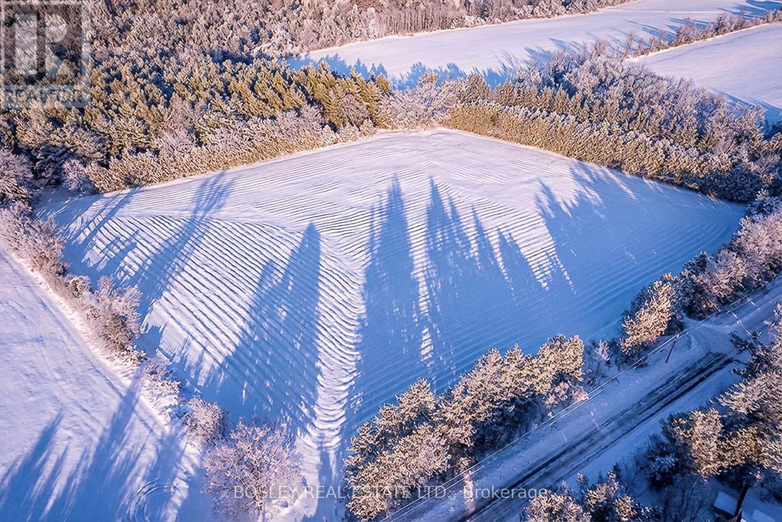 41 SILVER HEIGHTS DRIVE