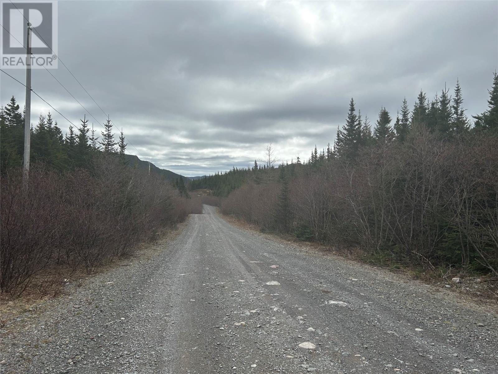 Lot # 06 Quarry Road - Photo 2