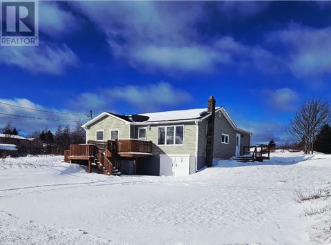 78 Back Track Road Spaniards Bay NF A0A3X1