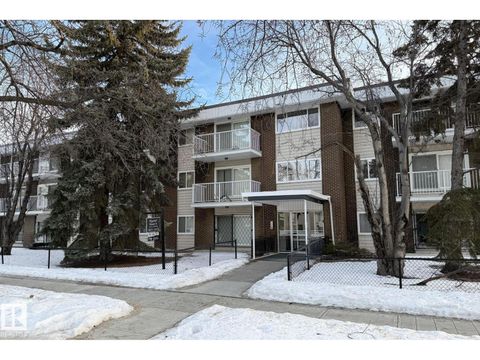 #311 10835 114 ST NW Edmonton AB T5H3K3