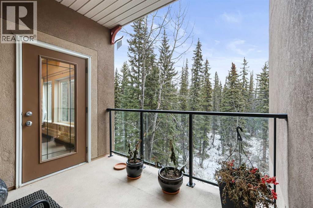 313, 20 Discovery Ridge Close SW