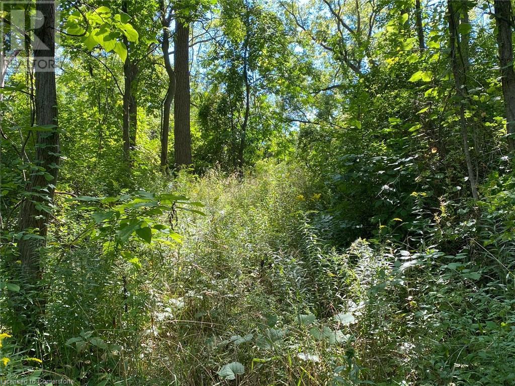 PT LT 3 EFFINGHAM Street