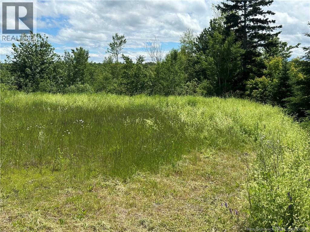 Lot 72-1 Route 132