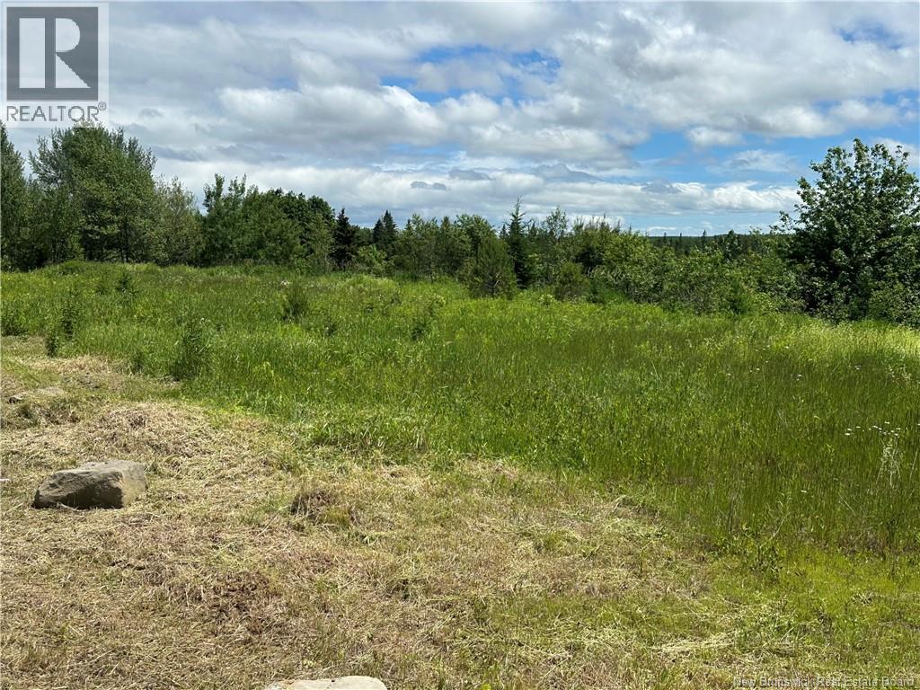 Lot 72-1 Route 132