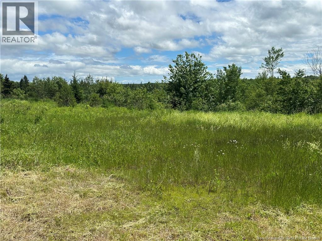 Lot 72-1 Route 132