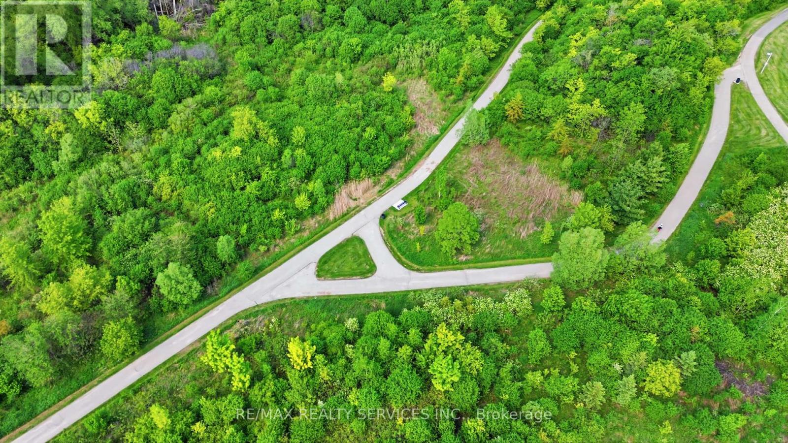 20 SWITCHBACK TRAIL