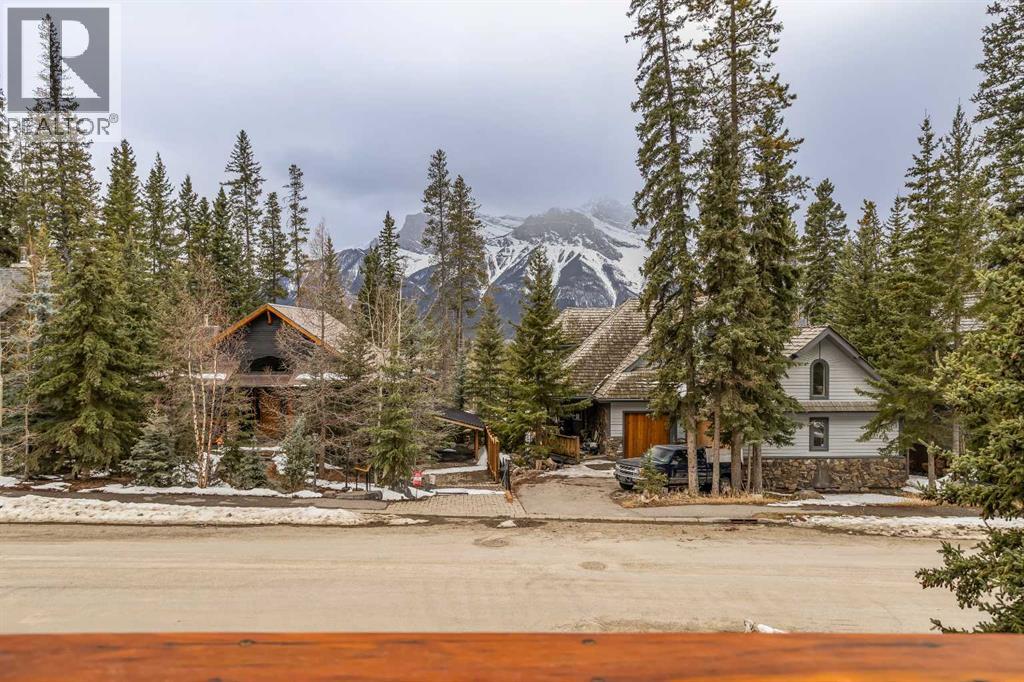 4, 124 Silvertip Ridge