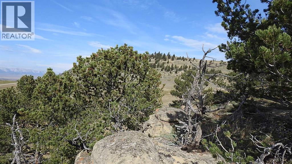 157 Acres Snake Trail