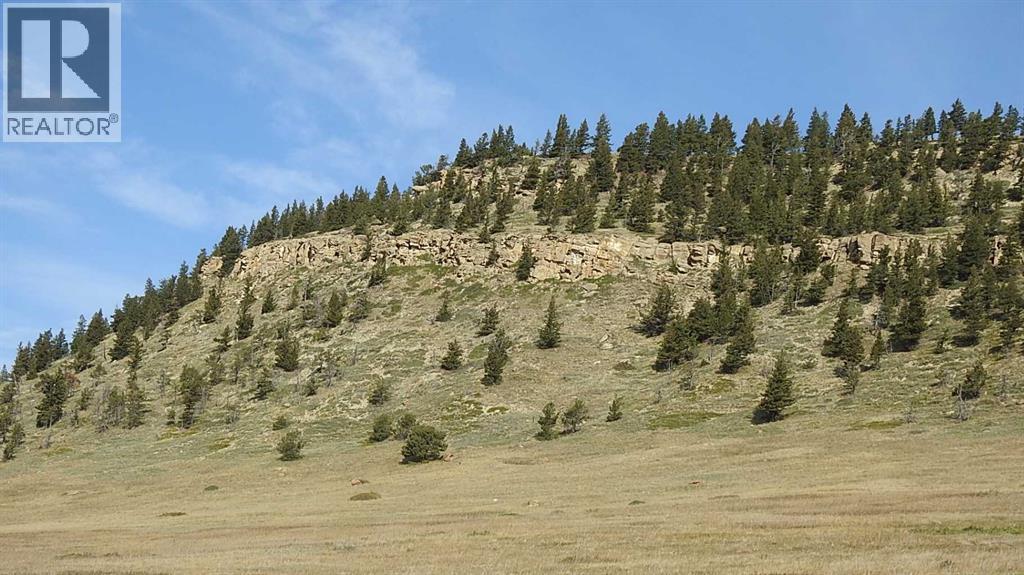 157 Acres Snake Trail