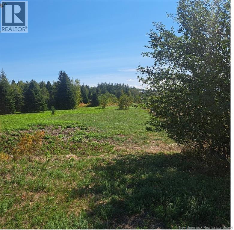 0 Homestead Road - Photo 2