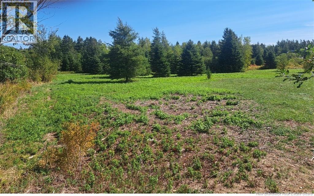 0 Homestead Road - Photo 3