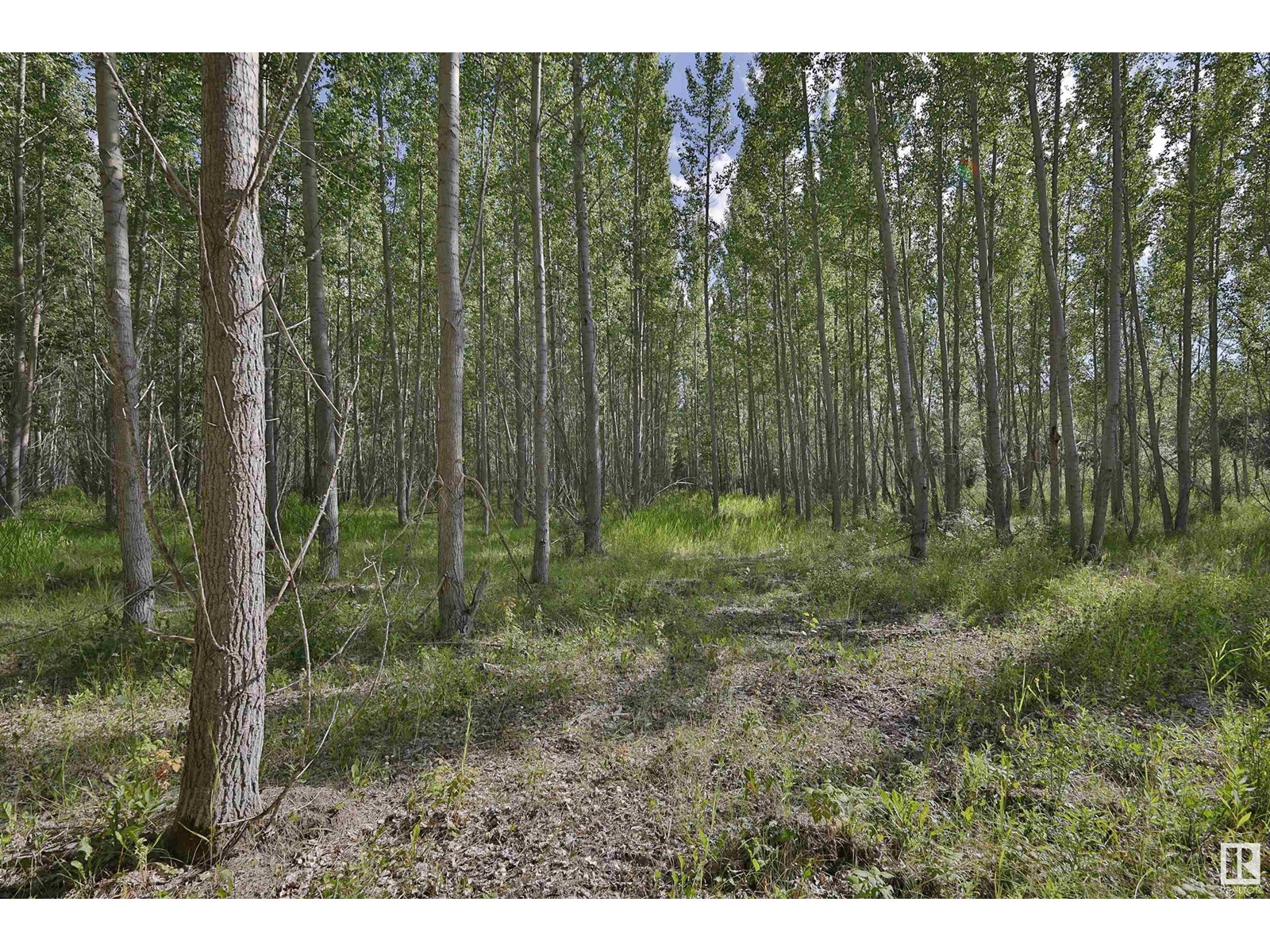 RGE Rd 24 TWP RD 562