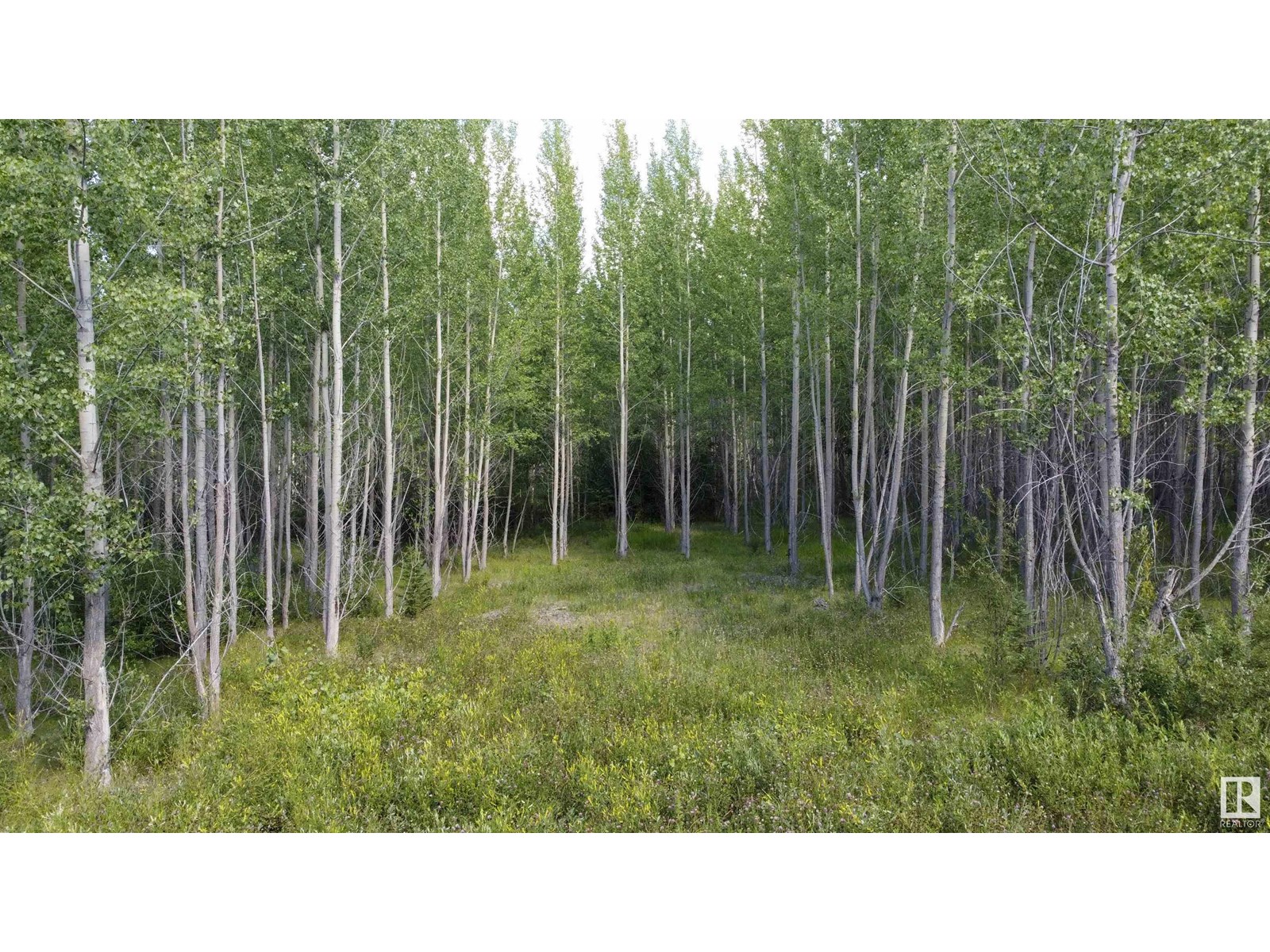 RGE Rd 24 TWP RD 562