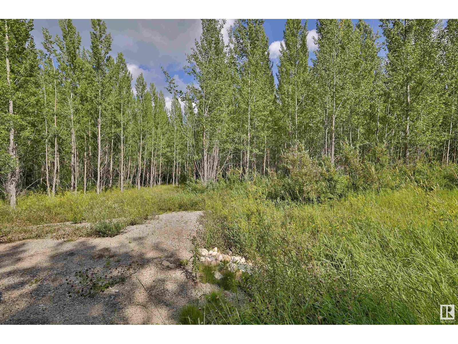 RGE Rd 24 TWP RD 562