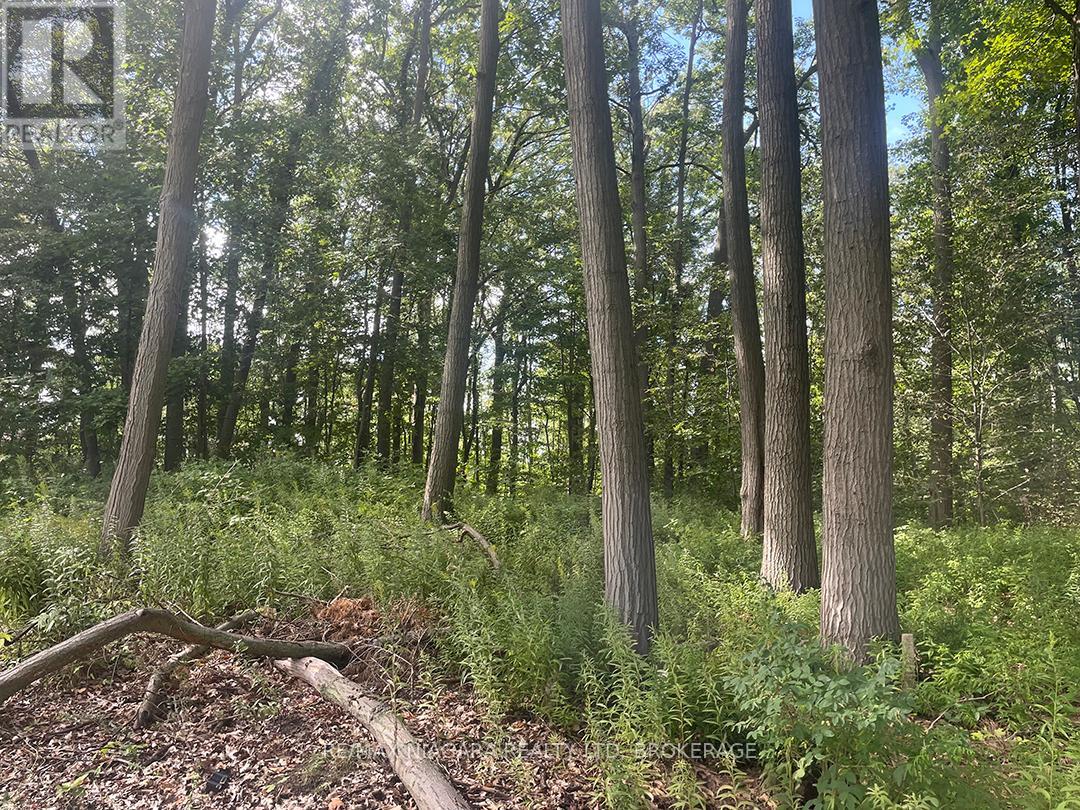 PT 1 & 2 FIRELANE 3 ROAD