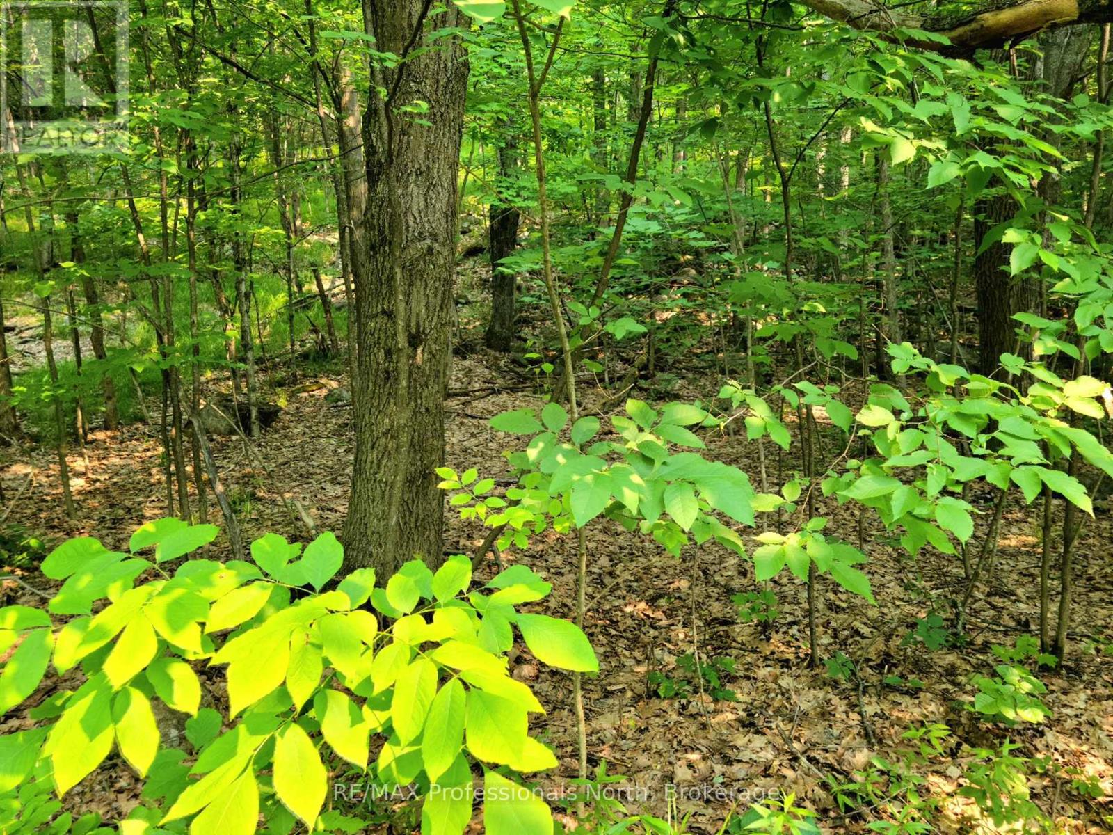 19 - 26 MOUNT VERNON TRAIL