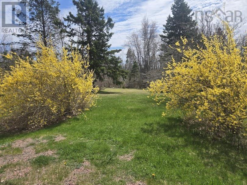 Lot B 4.6 acres Malagash Road