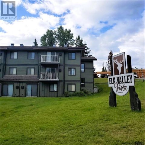 1802 ALPINE Drive Unit# 206A Elkford BC V0B1H0