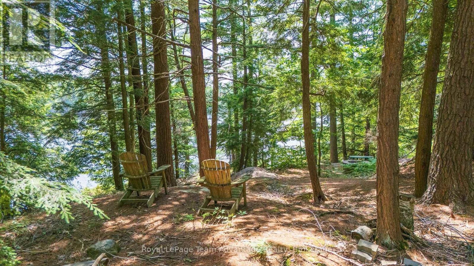 81 AMORAK TRAIL