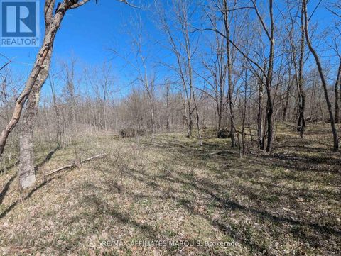 0 LITTLE CROSBY LAKE ROAD Rideau Lakes ON K0G1X0