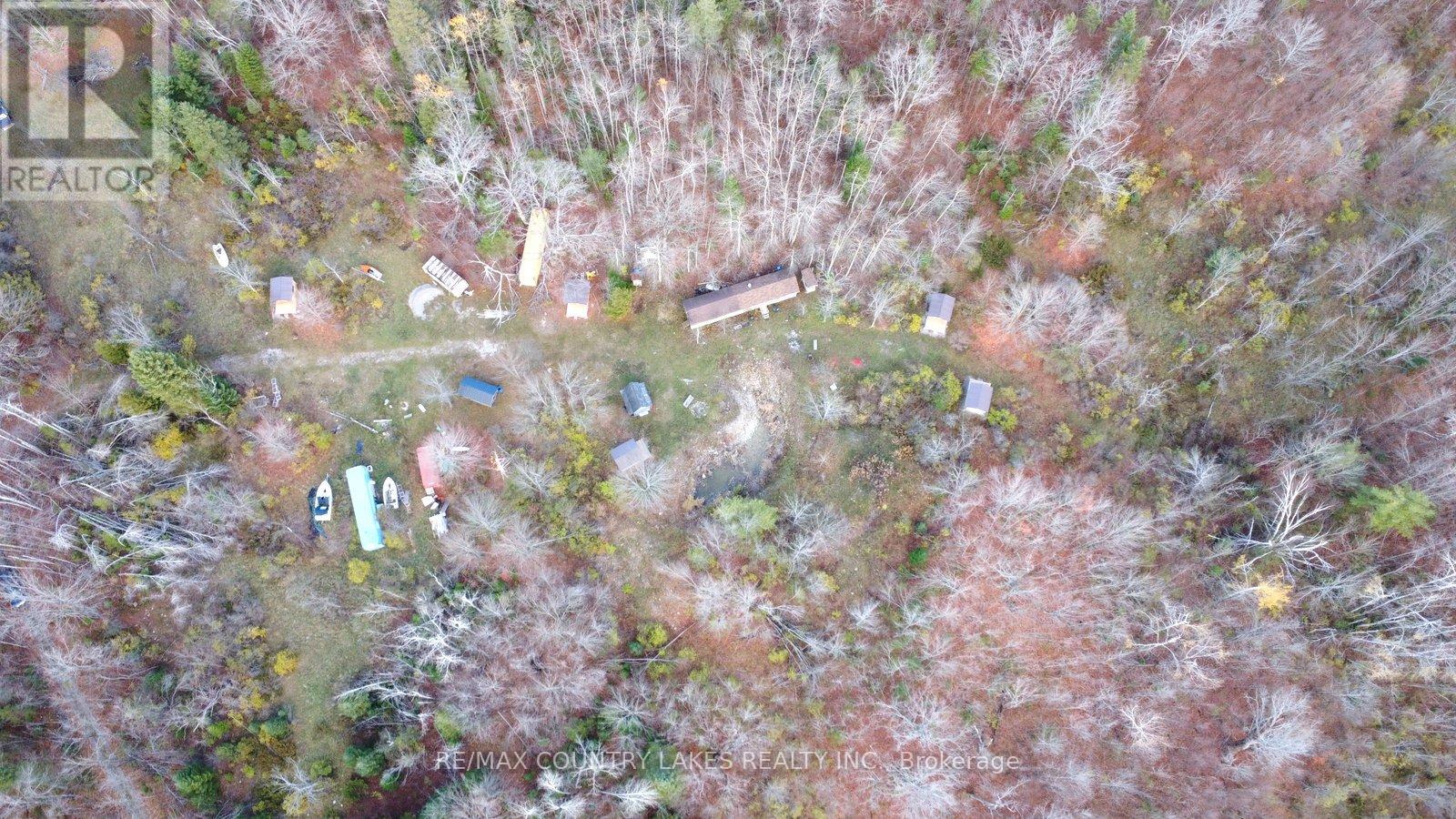 LT3 RAMBLEWOOD TRAIL