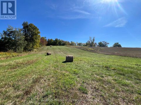 213 VANSICKLE ROAD Havelock-Belmont-Methuen (Belmont-Methuen) ON K0L1Z0