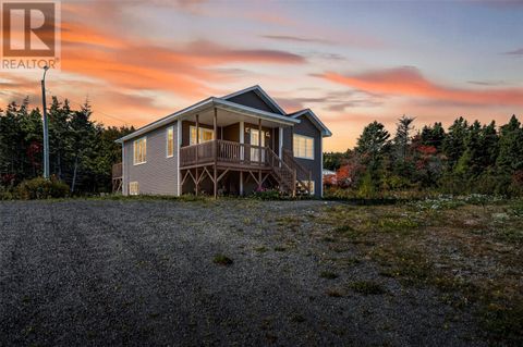 3 Hopkins Road Brownsdale NF A0B1H0