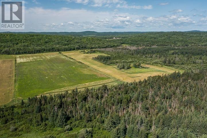 875 Lake George RD E|Laird Township