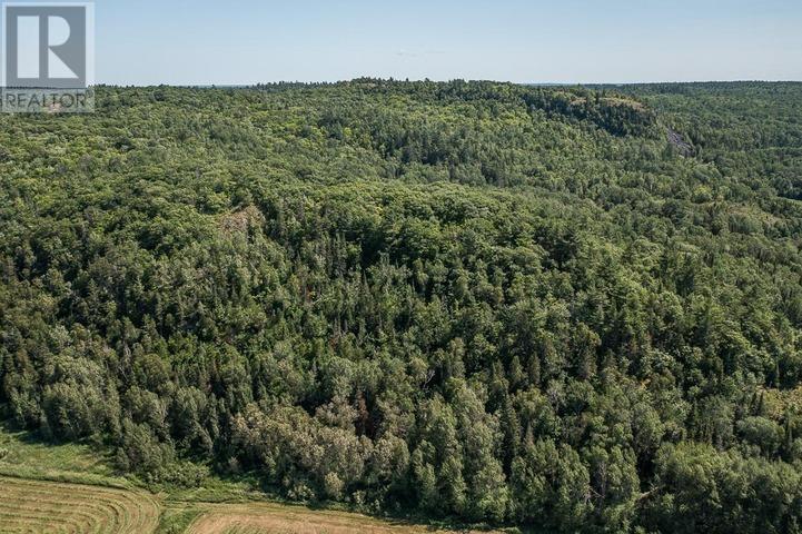 875 Lake George RD E|Laird Township