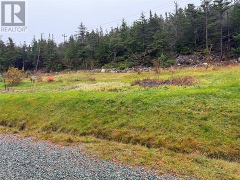 173 Monument Road Topsail, Conception Bay South NF A1W2B4