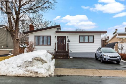 9 St. Laurent Street St. John's NF A1A2V3