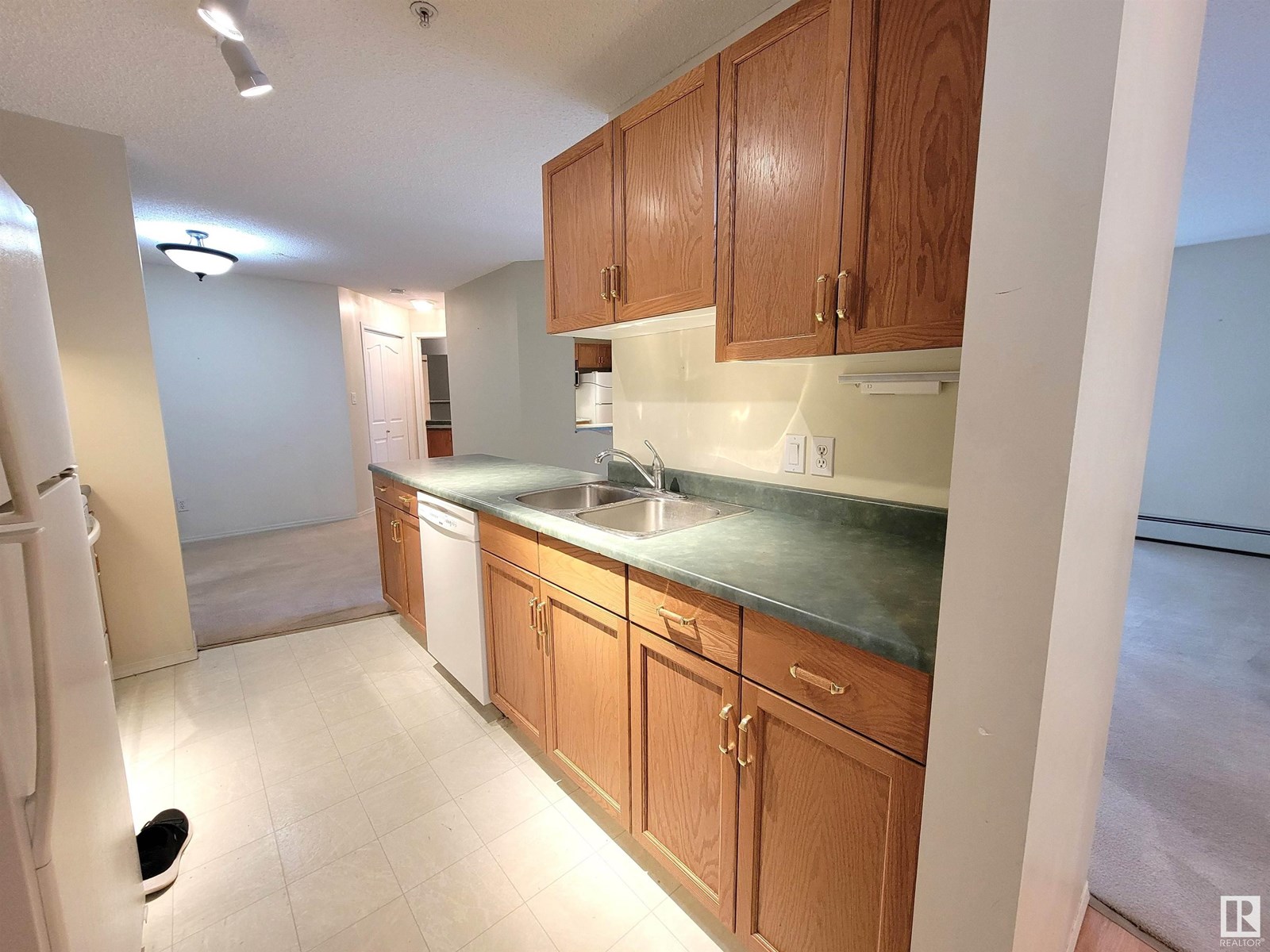 #312 10511 42 AV NW