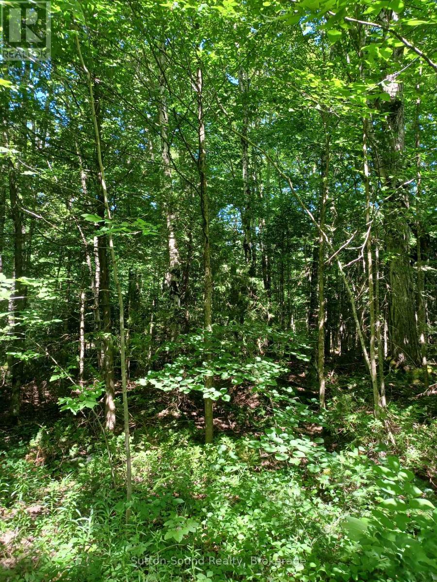 382309 CONCESSION 17