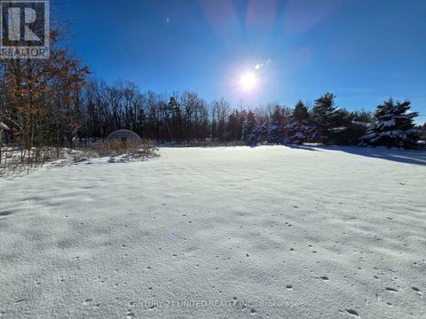 81 VANSICKLE TRAIL Havelock-Belmont-Methuen ON K0L1Z0