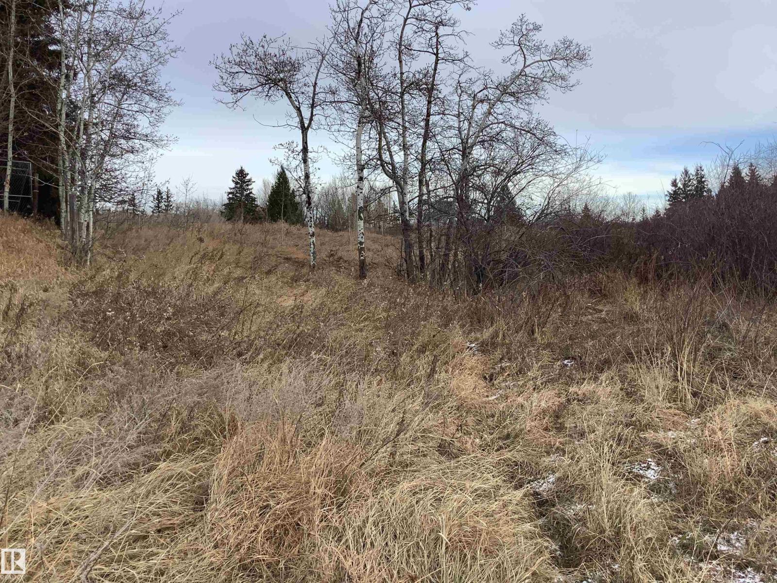 #242 21252 TWP ROAD 540