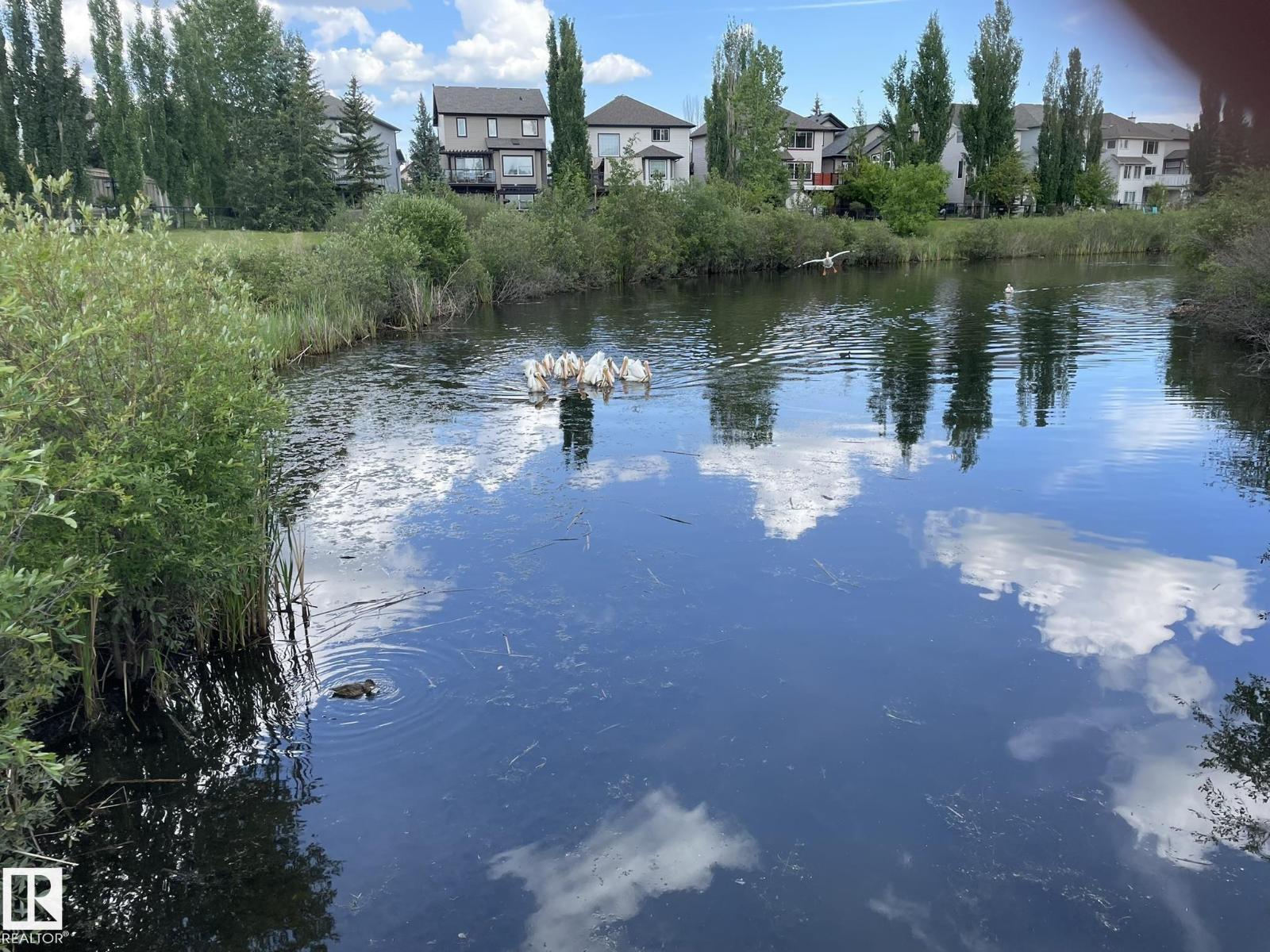 #207 7021 SOUTH TERWILLEGAR DR NW